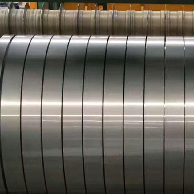 Stainless Steel Strip
