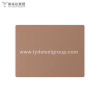 Brown Titanium SUS 304 Cold Rolled Stainless Steel Sheet
